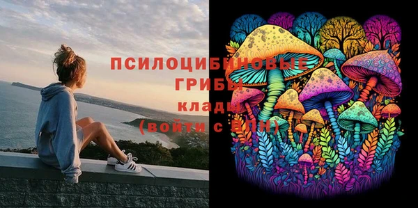 гидра Алексеевка