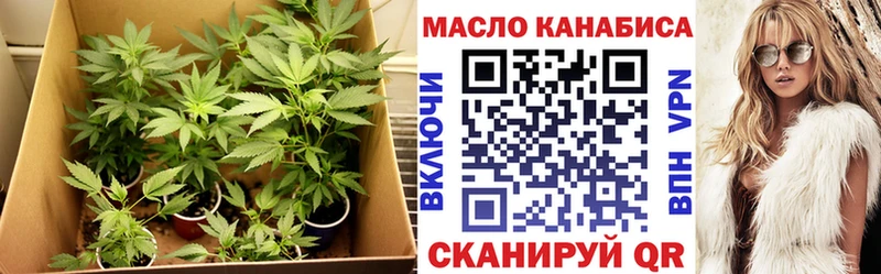 ТГК Wax  блэк спрут ссылка  Дмитриев 