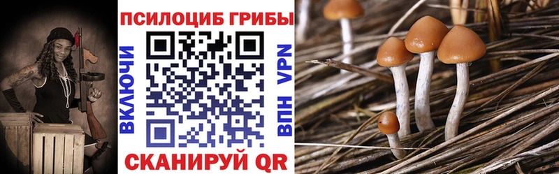кракен ССЫЛКА сайты даркнета состав Галлюциногенные грибы GOLDEN TEACHER Дмитриев